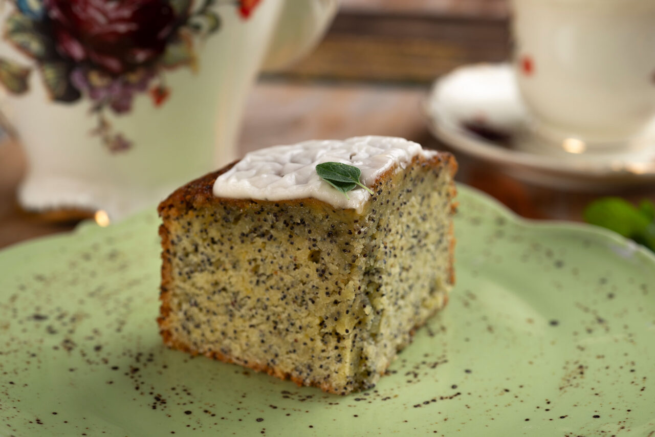 LaCasa_germanjacobo_amapola