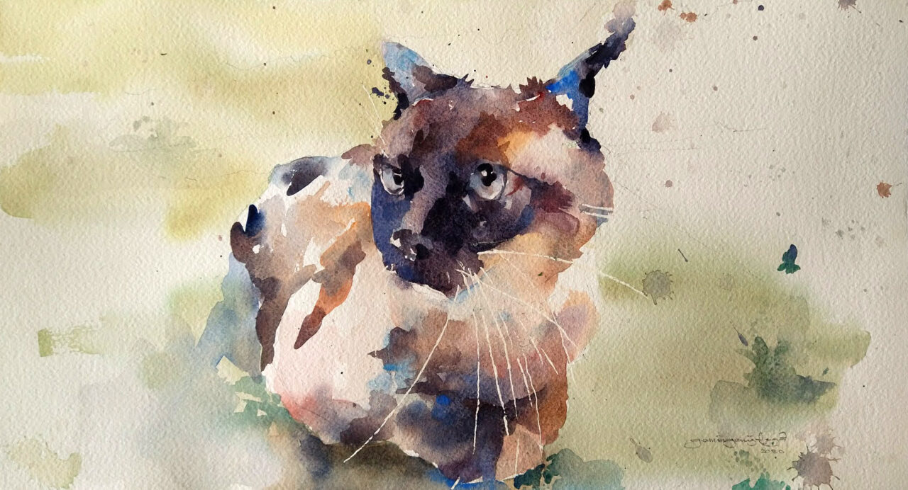 Polish_20200908_172432563