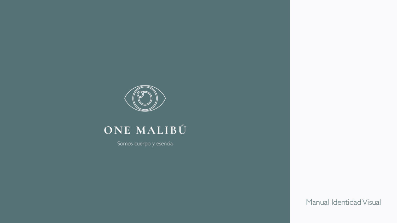 manual_one_malibu_Mesa de trabajo 1